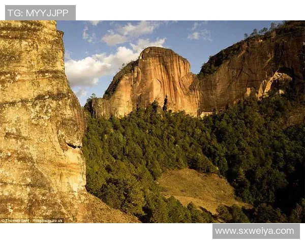 攀岩人生的深度对话:周芳如何在高峰与挑战中追寻自我 攀岩人生的深度对话:周芳如何在高峰与挑战中追寻自我