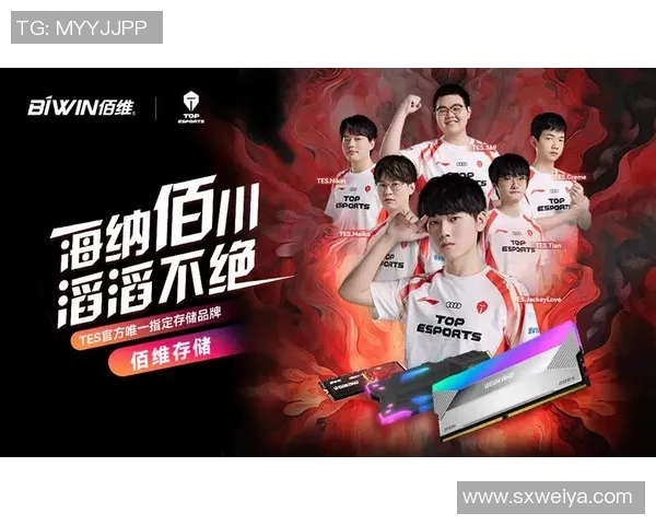 独家解析：TES战队配合风格与其他战队的深度对比分析