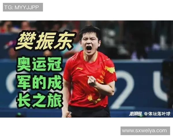 对话乒乓球传奇陈伟回顾辉煌生涯与未来展望 对话乒乓球传奇陈伟回顾辉煌生涯与未来展望