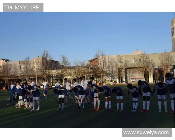 杨丽专访：从绿茵场到人生舞台的足球旅程回顾与展望