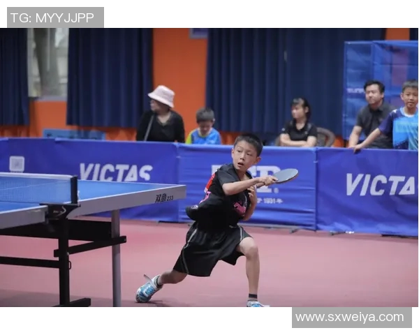 乒乓球意识排行榜揭晓武汉乒乓球队荣获第三名展现强大实力