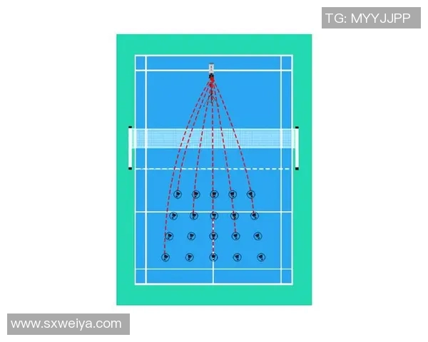 科学羽毛球训练方法探究与实践提升运动表现的有效策略