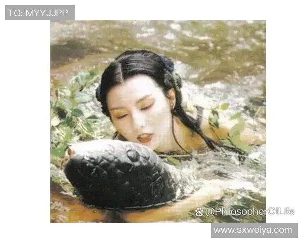 赵敏专访:从青涩小将到网球明星的成长之路与心路历程回顾 赵敏专访:从青涩小将到网球明星的成长之路与心路历程回顾